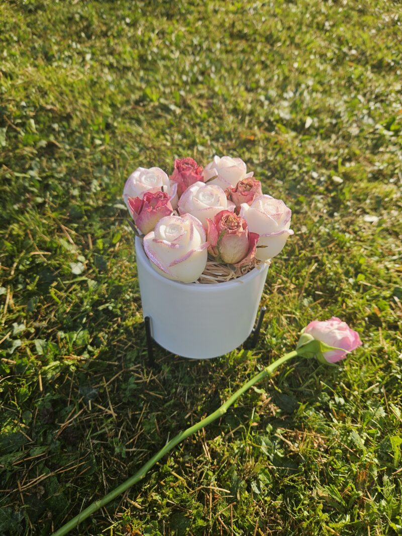Bouquet de roses-roses